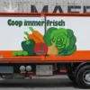 ACE 882384 Berna D290B F4x2 Frigo Coop | LKW-Modell 1:87
