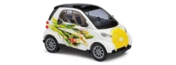 BUSCH 46131 Smart Fortwo 07 | Spargel | Modellauto 1:87