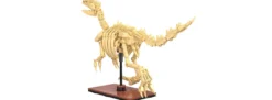 CaDA C59014W Dinosaurier Fossil Velociraptor Bricks | Dino Baukasten