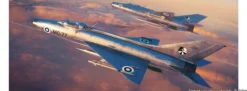Eduard 82191 Mikojan MiG-21F-13 | Flugzeug Bausatz 1:48