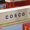 FALLER 180851 40ft Hi-Cube Kühlcontainer COSCO | Spur H0