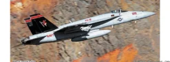 HASEGAWA 602424 Boeing F/A-18E Super Hornet VX-31 Dust Devils | Flugzeug Bausatz 1:72