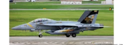 HASEGAWA 02461 EA-18G Growler VAQ-138 | Flugzeug Bausatz 1:72