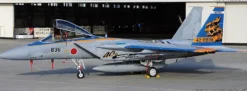 HASEGAWA 2419 F-15J Eagle 204 sq Naha Air Base 40th Jubiläum | Flugzeug Bausatz 1:72
