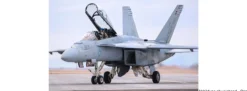 HobbyBoss 85813 F/A-18F Hornet Kampfjet | Flugzeug Bausatz 1:48