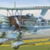 ICM 32014 Henschel Hs 123A-1 | Flugzeug Bausatz 1:32