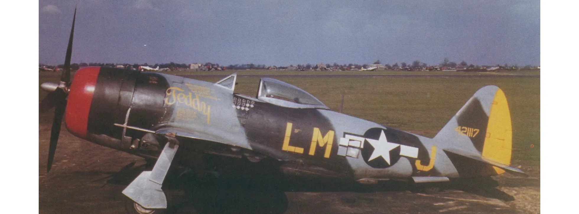 Revell 03984 Republic P-47 M Thunderbolt Flugzeug Bausatz 1:72