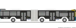 RIETZE 75847 MAN Lions City 18 VIAS Bus - Rurtalbus | Busmodell 1:87