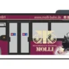 RIETZE 69352 MB Citaro Mecklenburgische Bäderbahn Molli | Busmodell 1:87
