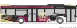 RIETZE 69352 MB Citaro Mecklenburgische Bäderbahn Molli | Busmodell 1:87