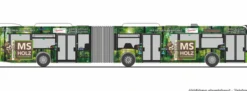RIETZE 73584 Mercedes-Benz Citaro G 15 ESWE-MS Holzfachmachmarkt Wiesbaden | Bus-Modell 1:87