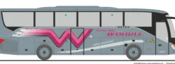 RIETZE 77929 Setra S 515 HD Wöhrle Reisen Oberderdingen | Busmodell 1:87