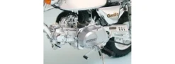 TAMIYA 16031 Honda Gorilla Spring Collection | Motorrad Bausatz 1:6