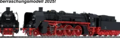 TRIX 25019 Dampflok BR 19.0 Sachsenstolz DR | DCC/mfx Sound u. Rauch | Spur H0