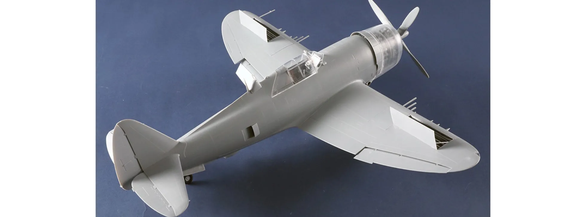 TRUMPETER 02427 Republic P-47D Thunderbolt Razorback | Flugzeug Bausatz 1:24