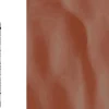VALLEJO 26.222 DIORAMA FX Braunes Wasser | Inhalt 200 ml | Texturpaste